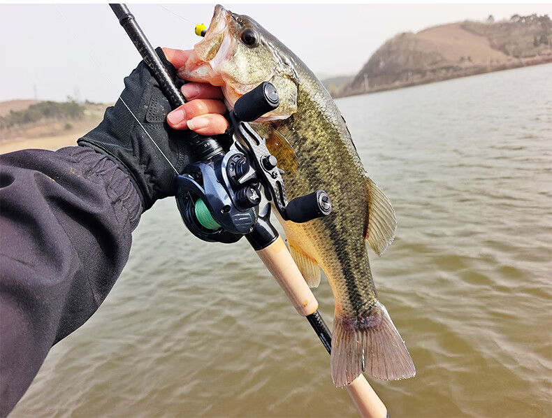 灵狐150 高速比远投水滴轮超轻泛用路亚轮Fishing Reel
