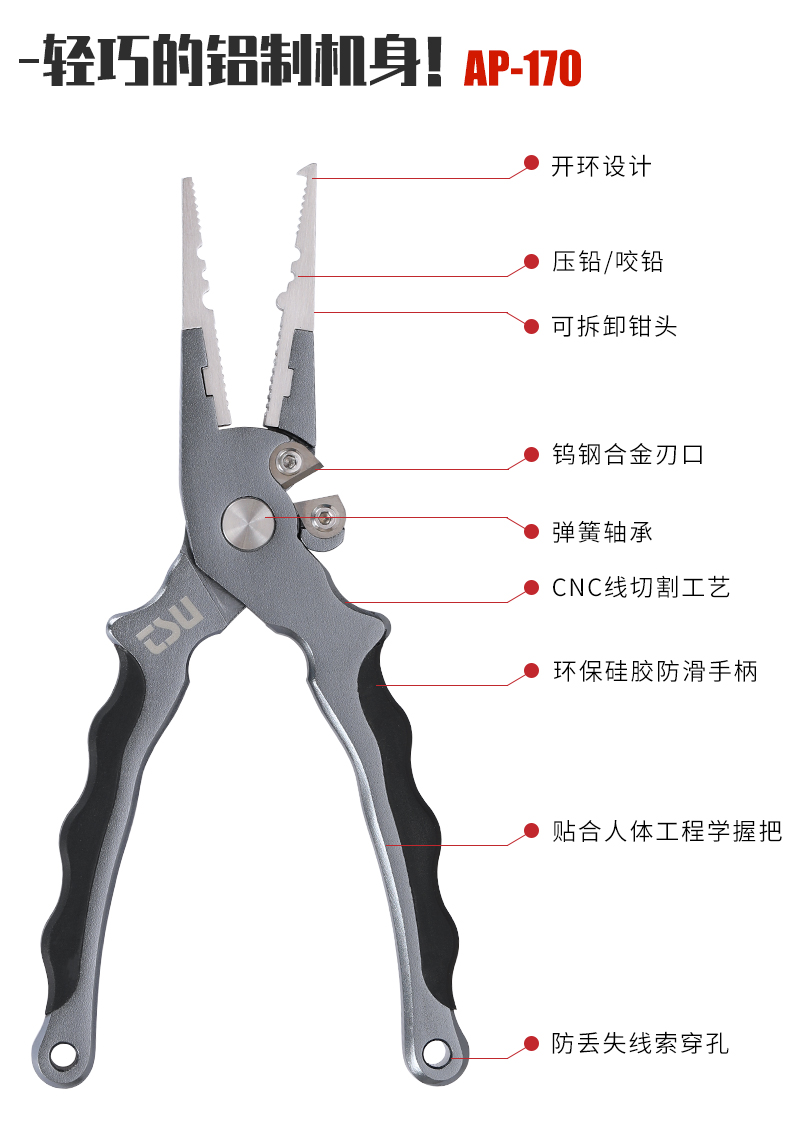 AP170_02.jpg