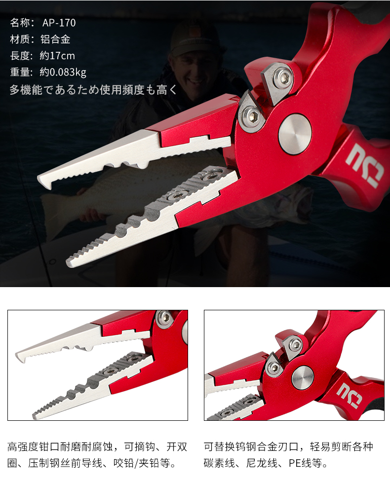 AP170_03.jpg