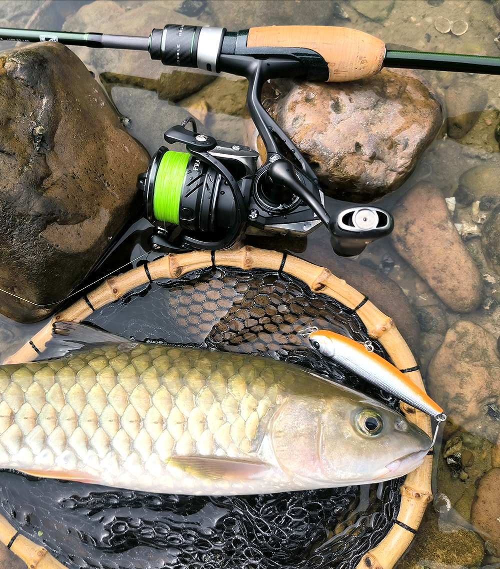 FS12_04.5.jpg
