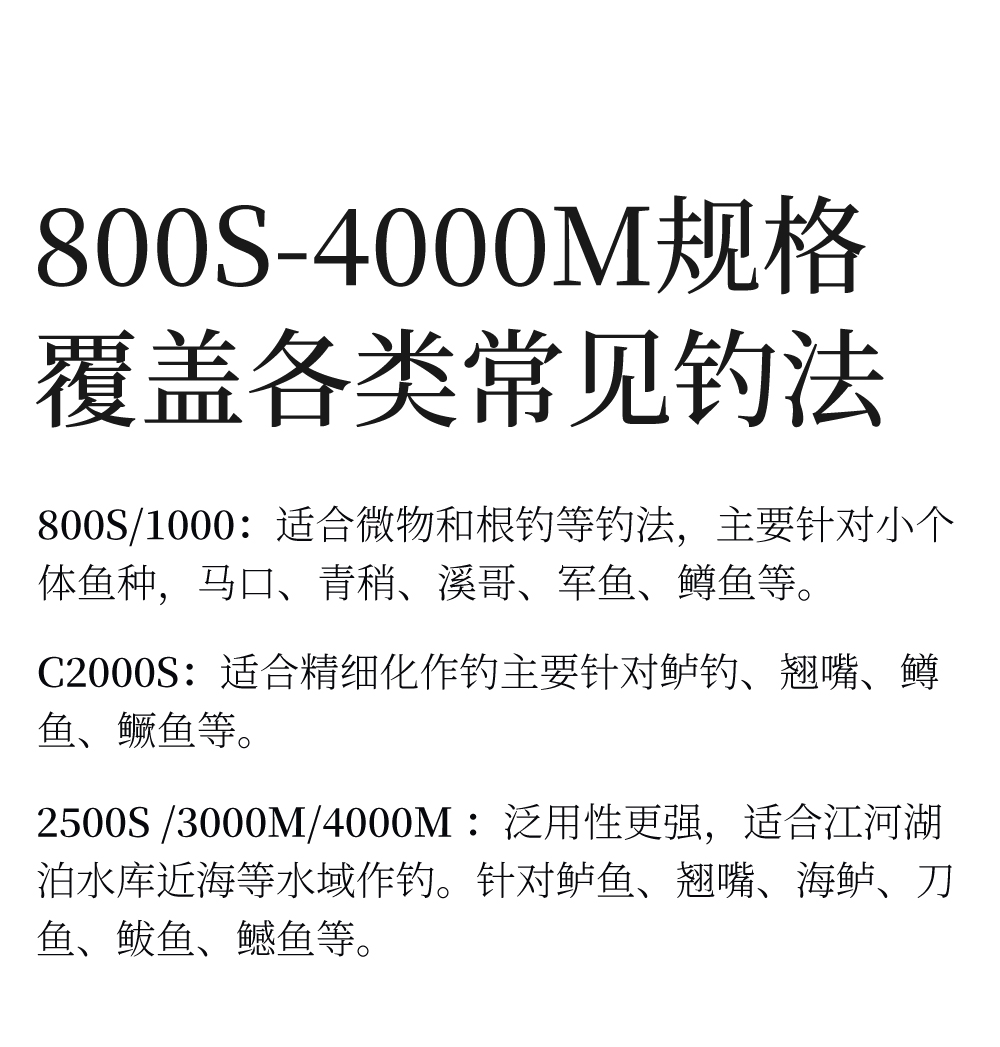 FS01_02.jpg