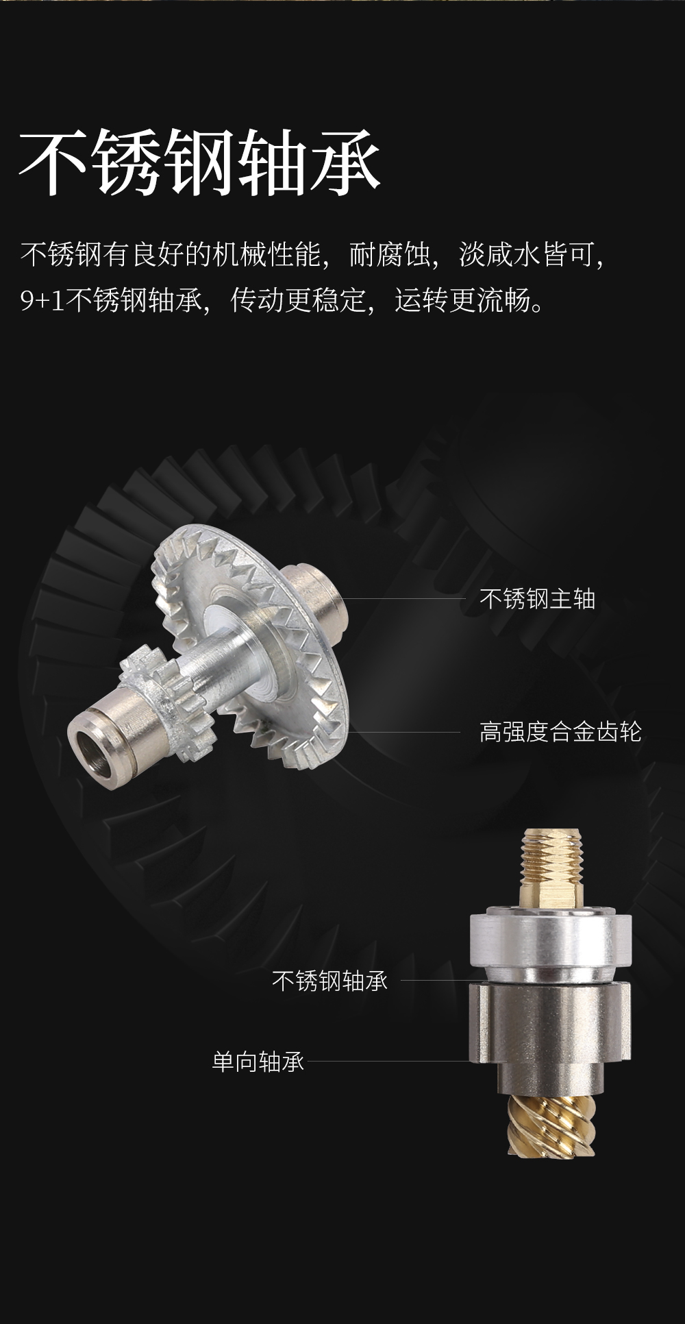 FS12_04.jpg