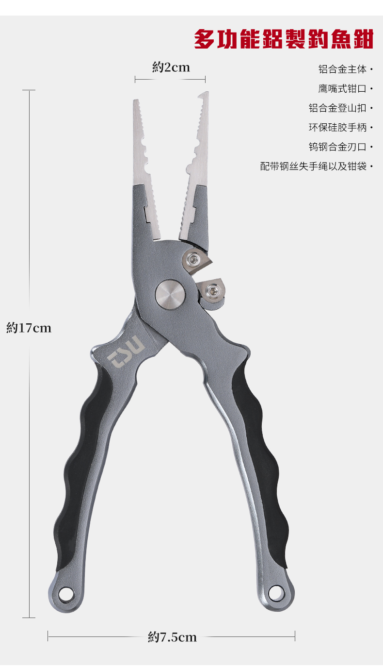 AP170_11.jpg