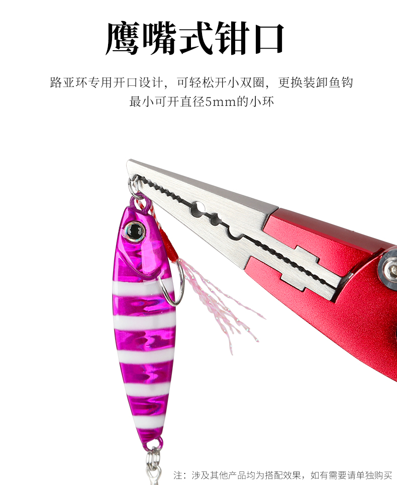 AP170_06.jpg