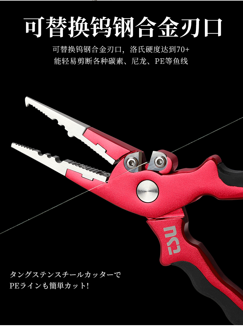 AP170_07.jpg