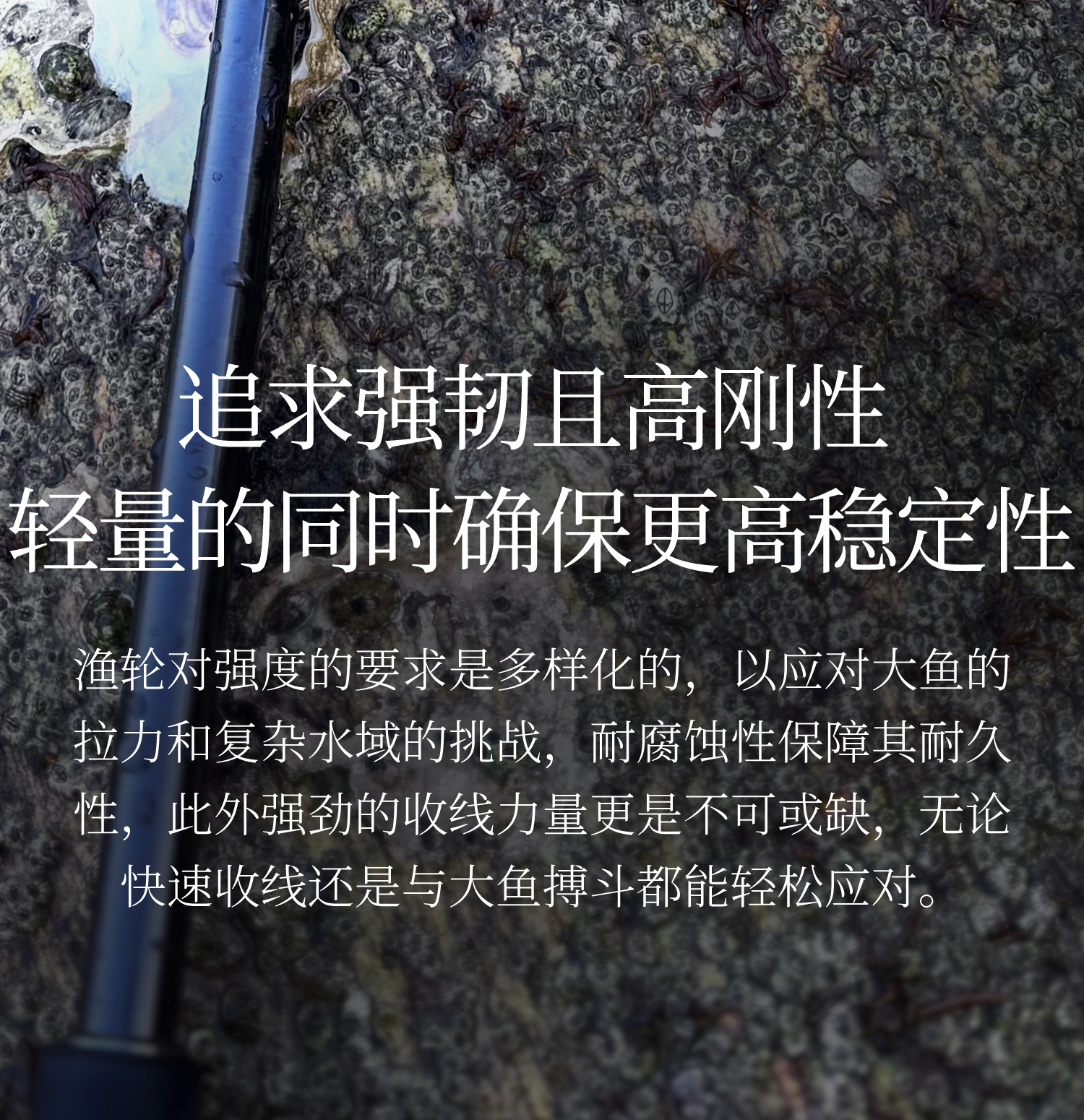 银隼01_09.jpg