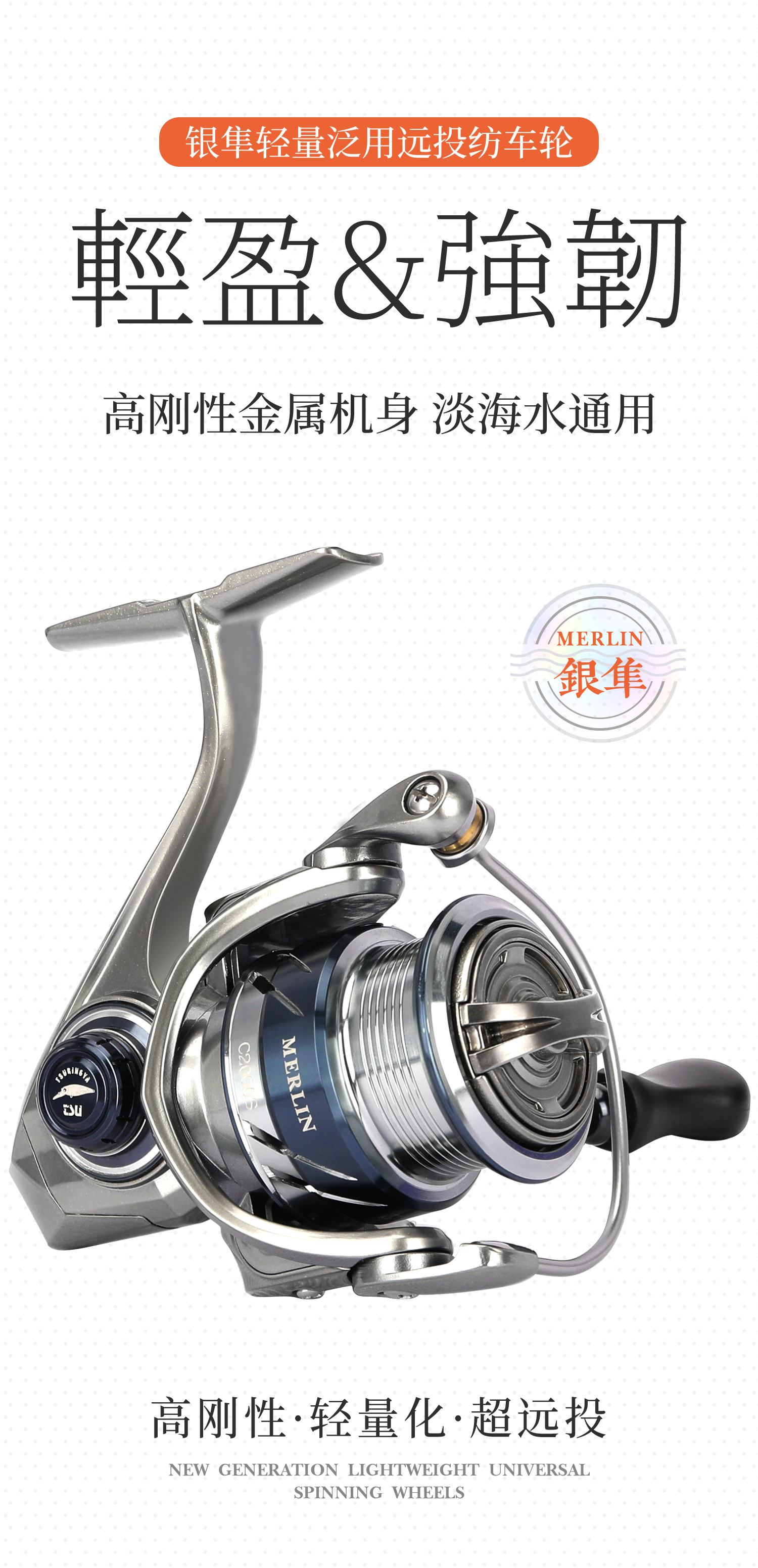 银隼01_01.jpg