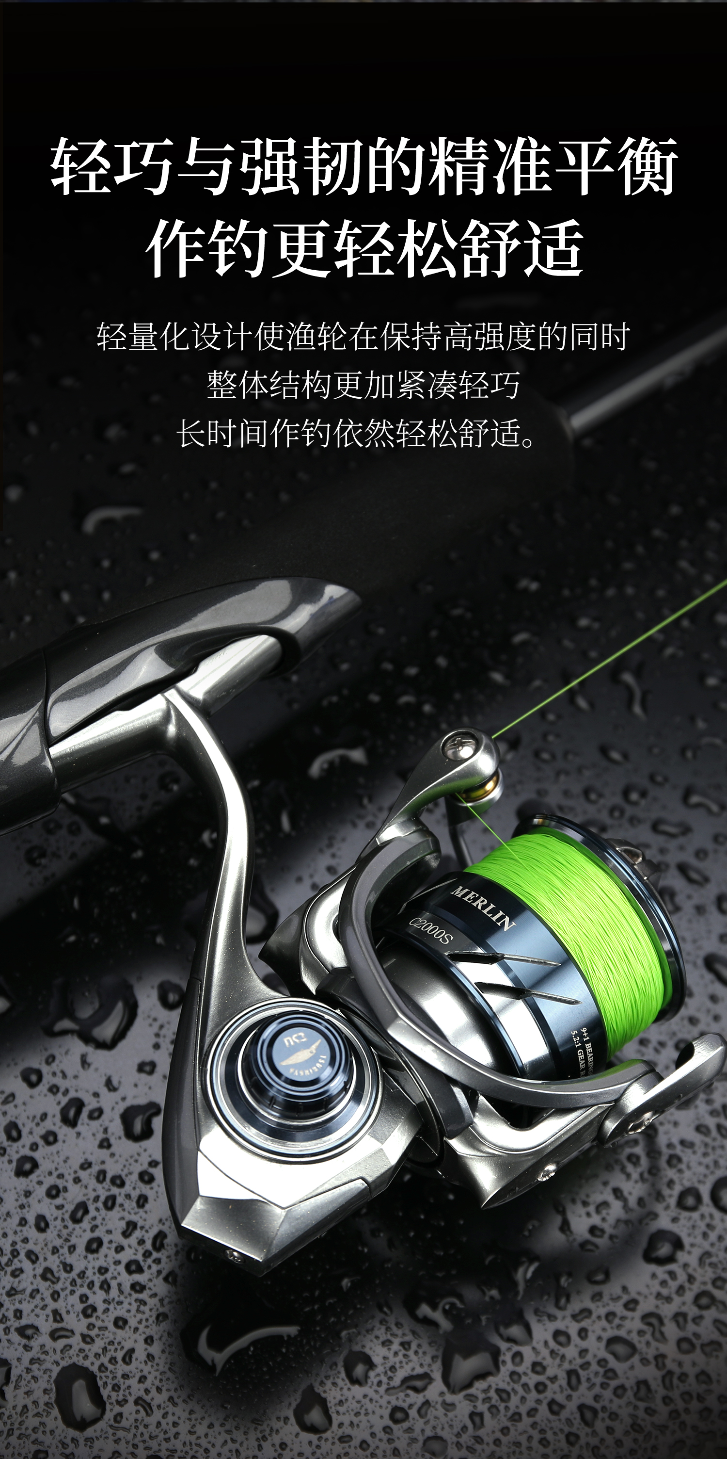 银隼01_10.jpg