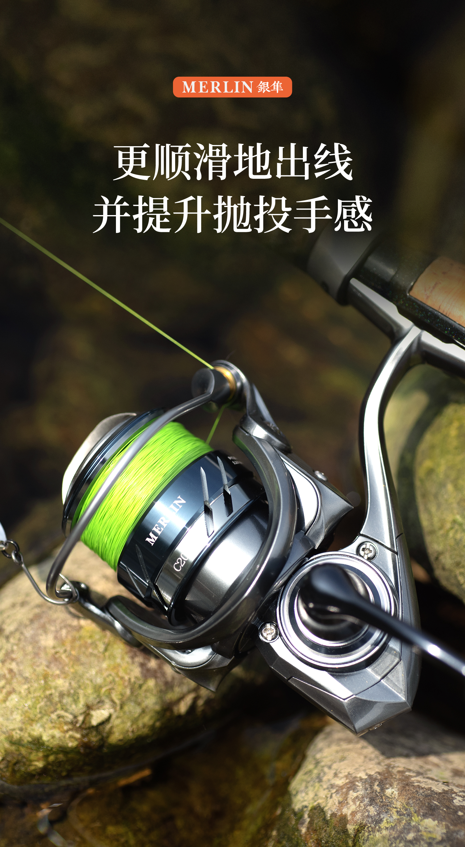 银隼02_06.jpg