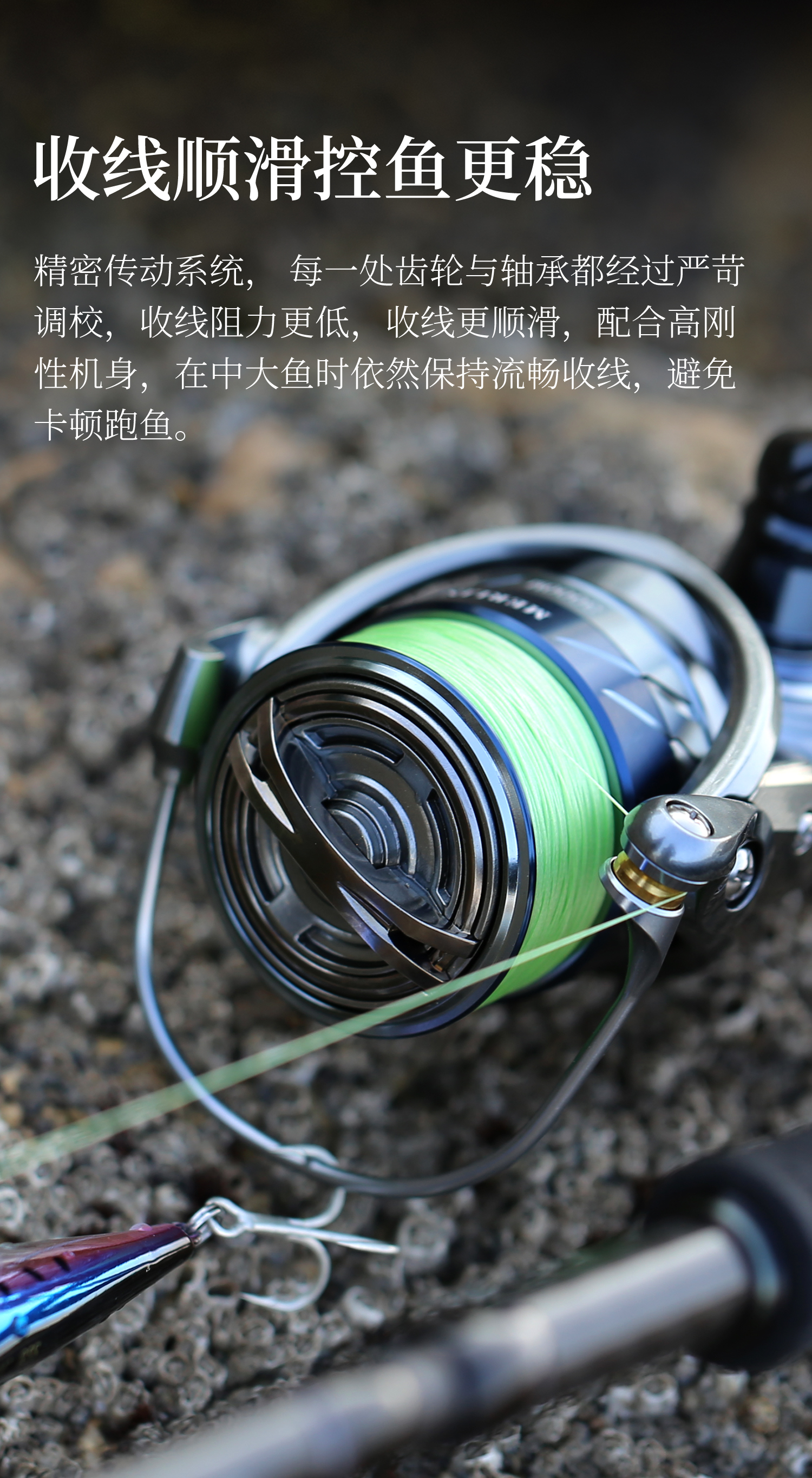 银隼02_03.jpg